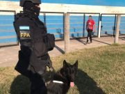 LA FPA INCAUTÓ DROGAS EN UN RECITAL EN JESÚS MARÍA.