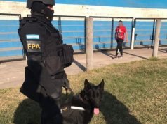 LA FPA INCAUTÓ DROGAS EN UN RECITAL EN JESÚS MARÍA.