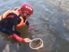 ESCALOFRIANTE: HALLARON RESTOS DE 10 CRÁNEOS HUMANOS EN EL RÍO SAN ANTONIO.