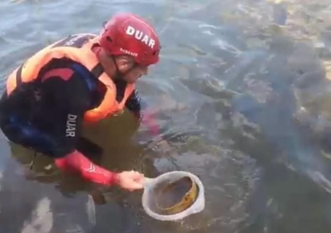 ESCALOFRIANTE: HALLARON RESTOS DE 10 CRÁNEOS HUMANOS EN EL RÍO SAN ANTONIO.