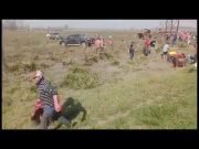 CHACABUCO: VOLCÓ UN CAMIÓN CON VACAS Y LOS VECINOS FAENARON A LOS ANIMALES EN PLENA RUTA. ¡MIRÁ!