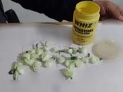 LA DORMIDA: VENDÍA DOSIS DE COCAÍNA Y SU MAMÁ SE LAS ENTREGÓ A LA POLICÍA.