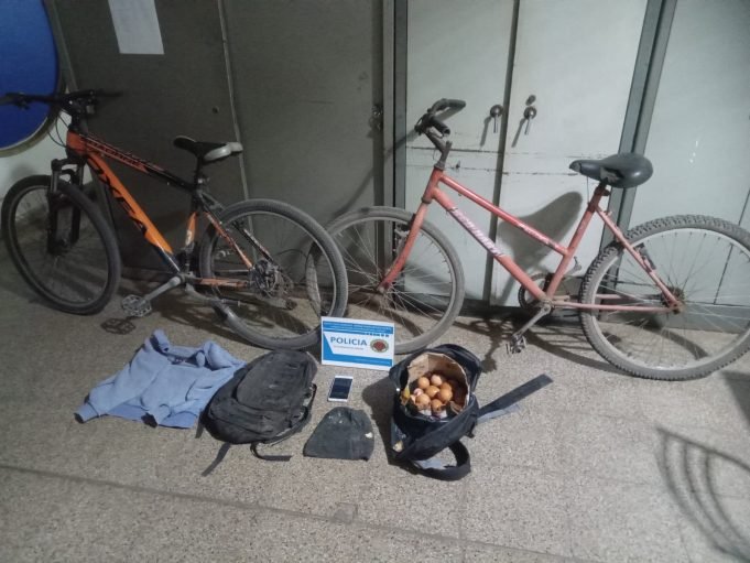 COLONIA CAROYA: DOS BICICHORROS ROBARON EN UN CRIADERO DE GALLINAS. ¡SE LLEVARON HASTA LOS HUEVOS!