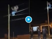 ROBABA CABLES, QUEDÓ ATRAPADO Y DETENIDO. LA POLICIA LO RESCATÓ. ¡MIRÁ!