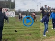 PASA EN REDES: JINETES SACARON A “REBENCAZOS” A PROTECCIONISTAS ANTI DOMA.¡MIRÁ!