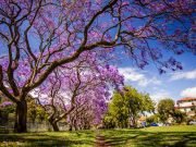 21 DE SEPTIEMBRE: ¡BIENVENIDA PRIMAVERA DE CALENDARIO! PERO EL EQUINOCCIO SERÁ EL SÁBADO 23.