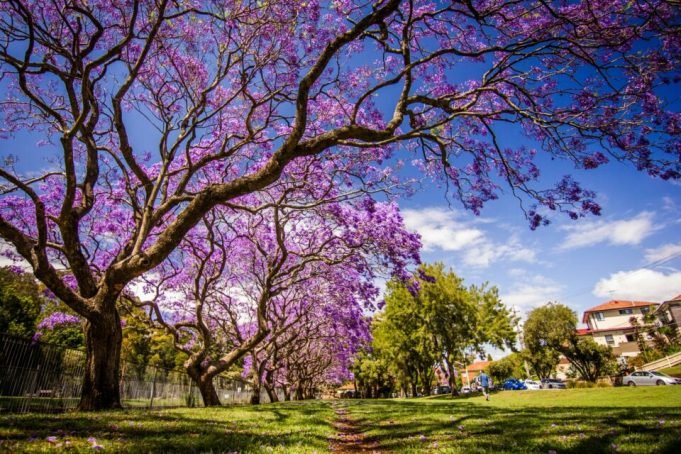 21 DE SEPTIEMBRE: ¡BIENVENIDA PRIMAVERA DE CALENDARIO! PERO EL EQUINOCCIO SERÁ EL SÁBADO 23.
