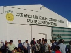 LA COOPERATIVA APÍCOLA ISCHILÍN CONVOCA A ASAMBLEA GENERAL ORDINARIA PARA ESTE 21 DE OCTUBRE.