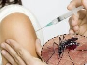 LA OMS RECOMENDÓ USAR UNA VACUNA CONTRA EL DENGUE.