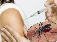LA OMS RECOMENDÓ USAR UNA VACUNA CONTRA EL DENGUE.