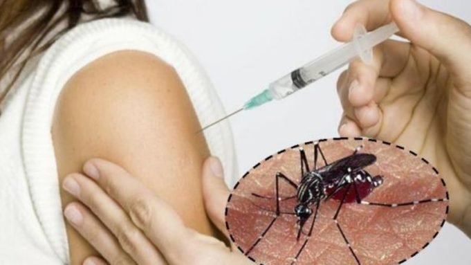 LA OMS RECOMENDÓ USAR UNA VACUNA CONTRA EL DENGUE.