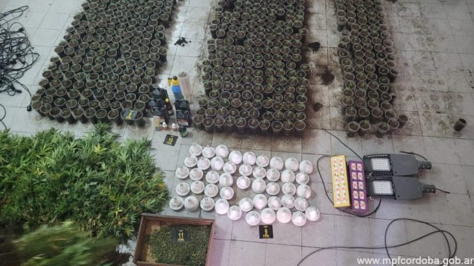CÓRDOBA: FPA DESBARATÓ UN INVERNADERO DE MARIHUANA EN BARRIO MÜLLER.