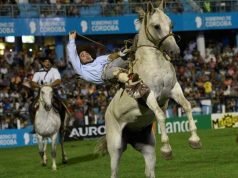 ENCEFALOMIELITIS EQUINA: DESDE EL FESTIVAL DE JESÚS MARÍA ASEGURAN QUE SÍ SE REALIZARÁ LA DOMA.