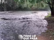 BUENA NOTICIA: ¡CRECIÓ EL SUNCHO EN TULUMBA!