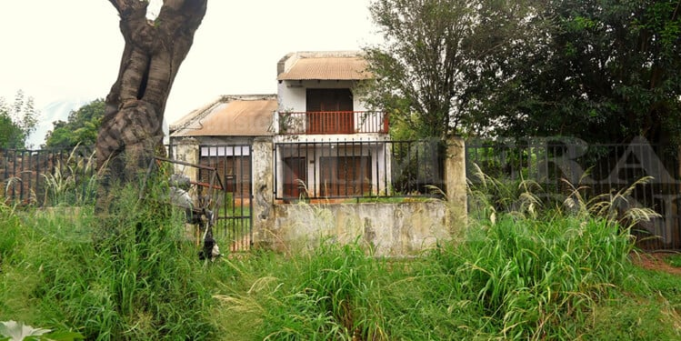 MISIONES: HALLARON SIN VIDA A UNA PROTECCIONISTA QUE VIVÍA CON 40 PERROS. REGISTRABA MORDEDURAS.