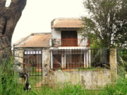 MISIONES: HALLARON SIN VIDA A UNA PROTECCIONISTA QUE VIVÍA CON 40 PERROS. REGISTRABA MORDEDURAS.