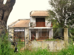 MISIONES: HALLARON SIN VIDA A UNA PROTECCIONISTA QUE VIVÍA CON 40 PERROS. REGISTRABA MORDEDURAS.