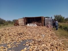 LOS POZOS: VOLCÓ UN CAMIÓN QUE TRASLADABA MAÍZ Y DEBIERON CORTAR LA RUTA.