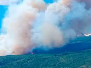 CHUBUT: EL FUEGO YA ARRASÓ MÁS DE MIL HECTÁREAS EN EL PARQUE LOS ALERCES.