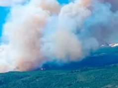 CHUBUT: EL FUEGO YA ARRASÓ MÁS DE MIL HECTÁREAS EN EL PARQUE LOS ALERCES.
