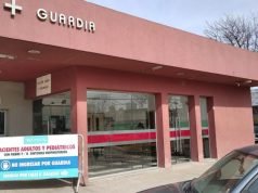 UNA SERPIENTE MORDIÓ A UNA MUJER QUE HACÍA TREKKING Y SE ENCUENTRA EN TERAPIA.