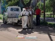 DEÁN FUNES: NUEVO OPERATIVO AÉDICO POR POSIBLE CASO DE DENGUE.