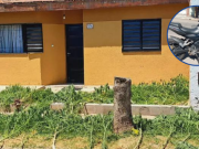 DESCUBRIERON UN VIVERO DE MARIHUANA PORQUE LAS RAMAS SOBREPASABAN LA TAPIA.