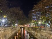 UN SEÑOR DE 70 AÑOS CAYÓ EN LA CAÑADA Y MURIÓ.