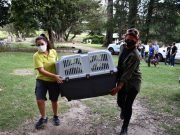 RESCATARON EN BS. AS A TRES MONOS EN CAUTIVERIO Y LOS TRASLADARON A LA CUMBRE.