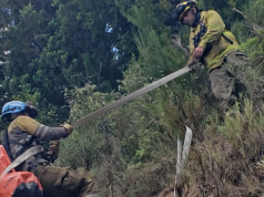 BOMBEROS CORDOBESES VIAJARON A COMBATIR EL FUEGO EN CHUBUT.