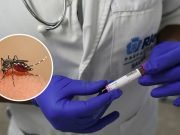 REGISTRAN NUEVAS MUERTES POR DENGUE EN CÓRDOBA, SANTA FE Y SAN LUIS.