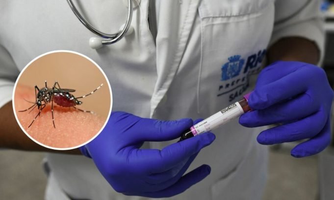REGISTRAN NUEVAS MUERTES POR DENGUE EN CÓRDOBA, SANTA FE Y SAN LUIS.