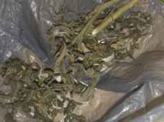 GRAN PREOCUPACIÓN EN CÓRDOBA POR UN NIÑO QUE LLEVÓ MARIHUANA AL COLEGIO.