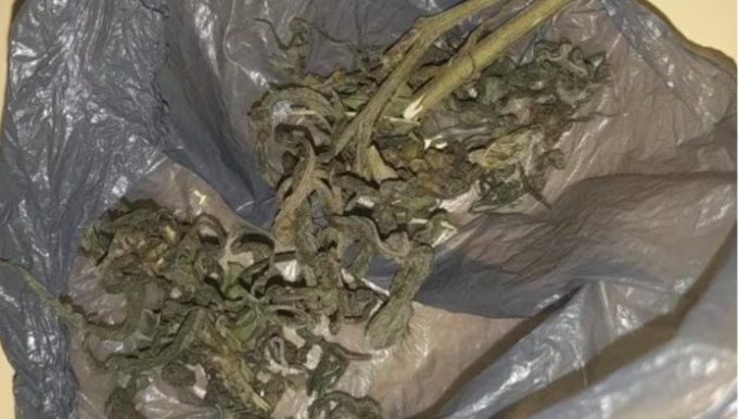 GRAN PREOCUPACIÓN EN CÓRDOBA POR UN NIÑO QUE LLEVÓ MARIHUANA AL COLEGIO.