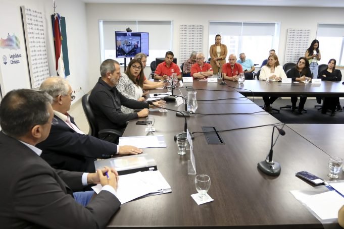 PROVINCIA: LA COMISIÓN DE SEGURIDAD ANALIZÓ UN PROYECTO PARA CREAR UNIDADES QUE ACTÚEN EN EMERGENCIAS.