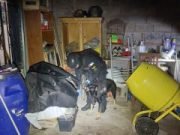 DOS DETENIDOS POR VENTA DE DROGAS EN JESÚS MARÍA Y COLONIA CAROYA.