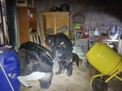 DOS DETENIDOS POR VENTA DE DROGAS EN JESÚS MARÍA Y COLONIA CAROYA.