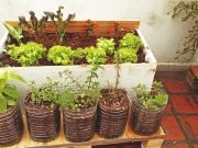 OFICINA LEGISLATIVA DPTO. ISCHILÍN: ABREN LA INSCRIPCIÓN PARA RECIBIR EL KIT DE SEMILLAS OTOÑO – INVIERNO.