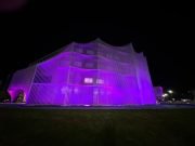 EN VÍSPERAS DEL DÍA INTERNACIONAL DEL LUPUS, LA LEGISLATURA SE ILUMINA DE MORADO PARA VISIBILIZAR LA ENFERMEDAD.