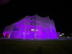 EN VÍSPERAS DEL DÍA INTERNACIONAL DEL LUPUS, LA LEGISLATURA SE ILUMINA DE MORADO PARA VISIBILIZAR LA ENFERMEDAD.