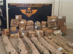 LA FPA SECUESTRÓ MÁS DE 140 KILOS DE MARIHUANA EN CERRO COLORADO.