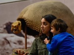 DÍA DE LOS MUSEOS: MÁS DE 10.000 PERSONAS VISITARON DIFERENTES MUSEOS DE LA PROVINCIA.