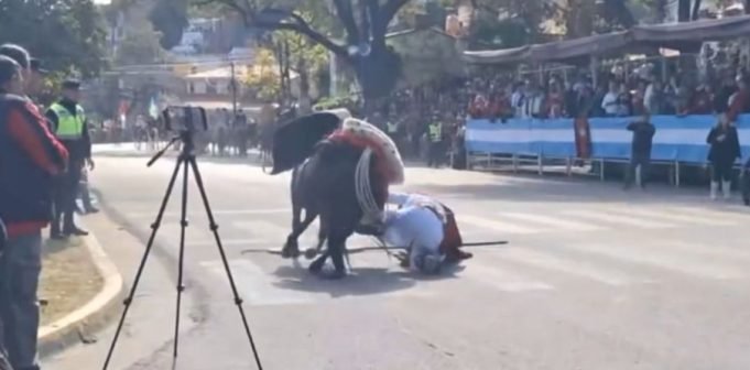 SALTA: UN CABALLO ARRASTRÓ A UN JINETE DURANTE EL DESFILE EN HONOR A GÜEMES.
