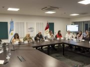 LA MESA DE INCLUSIÓN LEGISLATIVA EXPUSO SUS PLANES EN LA COMISIÓN DE DISCAPACIDAD UNICAMERAL.