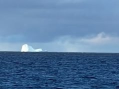USHUAIA: APARECIÓ UN ICEBERG CERCA DE LA COSTA Y ALERTARON A LOS BARCOS.