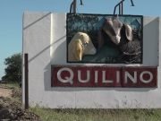 QUILINO: NIEGAN COBROS EXTERNOS TELEFÓNICOS DE TASAS MUNICIPALES.