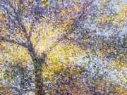 MARIO SANZANO EXPONE EN LA GALERIA ZURBARAN DE BUENOS AIRES.