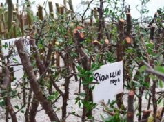 DEÁN FUNES: CAPACITACIÓN SOBRE “CONSERVACIÓN Y PRODUCCIÓN DE ESPECIES NATIVAS”