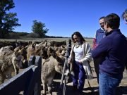 MYRIAM PRUNOTTO SE INTERIORIZÓ SOBRE LAS POTENCIALIDADES DE LA PRODUCCIÓN DE LECHE DE BURRA.
