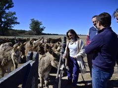 MYRIAM PRUNOTTO SE INTERIORIZÓ SOBRE LAS POTENCIALIDADES DE LA PRODUCCIÓN DE LECHE DE BURRA.